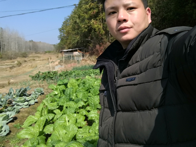 倔强的驴的第一张照片--安庆相亲服务中心