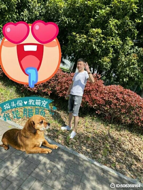 我若不坚强谁替我勇敢的第一张照片--安庆相亲服务中心