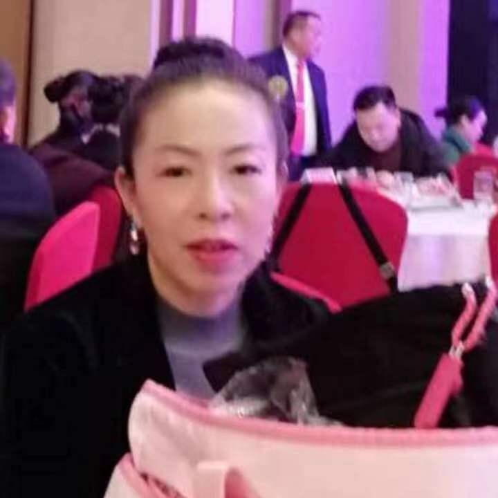 中秋桂花玉兔的第四张照片--安庆相亲服务中心