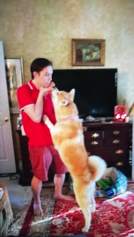 Leluch的第一张照片--安庆相亲服务中心