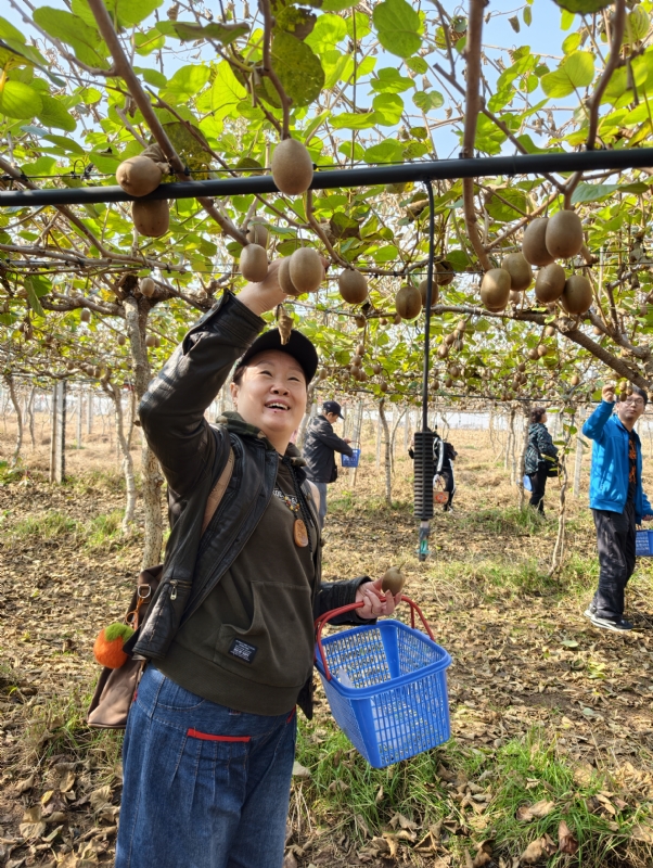 夜莺的第三张照片--安庆相亲服务中心